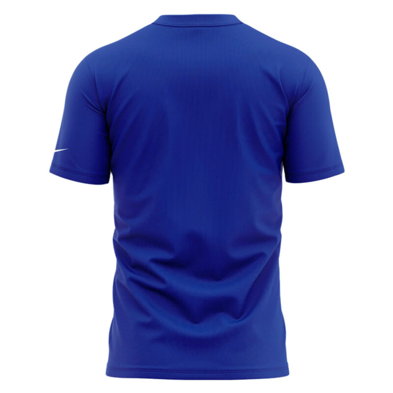 Buffalo Bills Nike 2024 AFC East Division Champions Locker Room Trophy Collection Tee (Blue, Red, Gray, Black) - Image 3