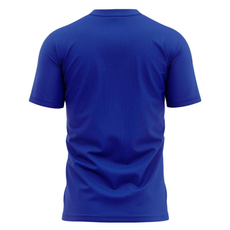 Buffalo Bills Fanatics Royal 2024 AFC East Division Champions Conquer Tee (Blue, Red, Gray, Black) - Image 3