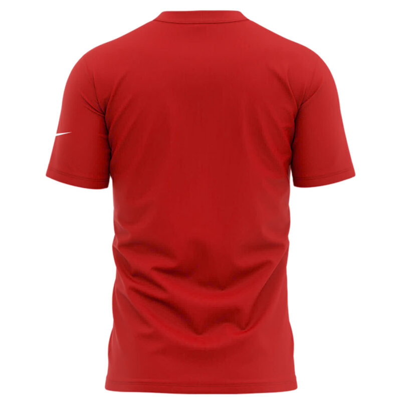 Buffalo Bills Nike 2024 AFC East Division Champions Locker Room Trophy Collection Tee (Blue, Red, Gray, Black) - Image 6